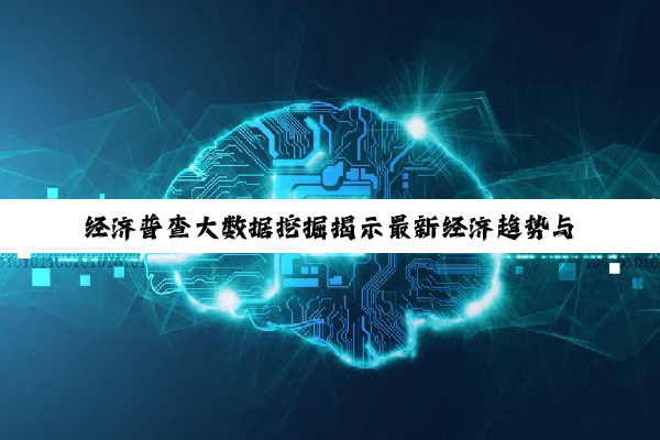 经济普查大数据挖掘揭示最新经济趋势与热点分析