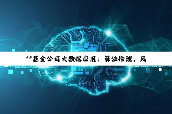 **基金公司大数据应用：算法伦理、风险分析与行业发展趋势深度探索**