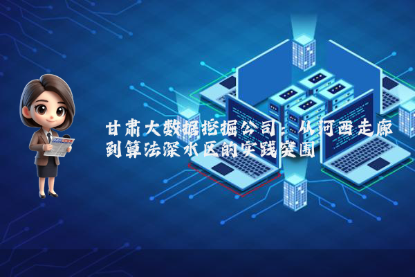 甘肃大数据挖掘公司:从河西走廊到算法深水区的实践突围